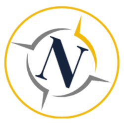 Nemesis Wealth Projects BSC crypto logo