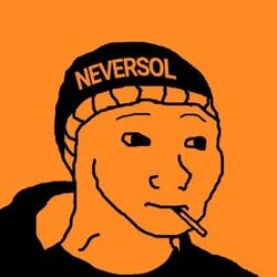 neversol crypto logo