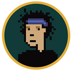 NFTPunk.Finance logo NFTPunk.Finance crypto logo