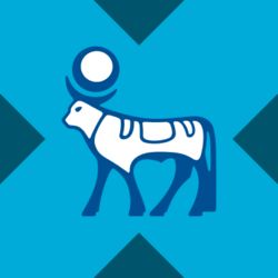 Novo Nordisk xStock logo Novo Nordisk xStock crypto logo