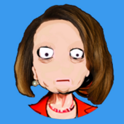 Nuncy Paloosi logo Nuncy Paloosi crypto logo