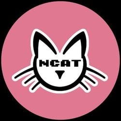 NCAT crypto logo