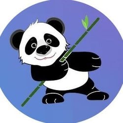 Panda Coin crypto logo