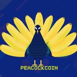 Peacockcoin logo Peacockcoin crypto logo