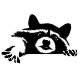 PEDRO MEME logo PEDRO MEME crypto logo