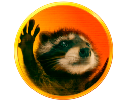 Pedro the Raccoon logo Pedro the Raccoon crypto logo