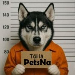 PetsNa logo PetsNa crypto logo