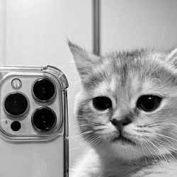 Pew Pew logo Pew Pew crypto logo