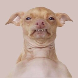 Phteven logo Phteven crypto logo