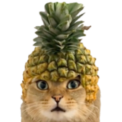 Pineapple Cat logo Pineapple Cat crypto logo