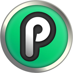 PlayChip coin logo