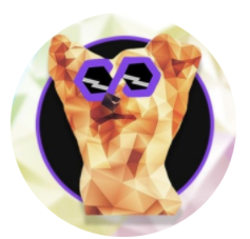 PolyYork logo PolyYork crypto logo