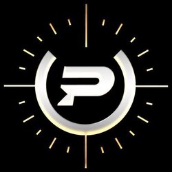 Pylot.fun logo Pylot.fun crypto logo