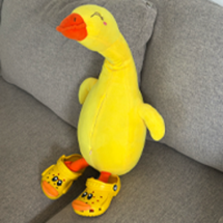 Quak Coin logo Quak Coin crypto logo