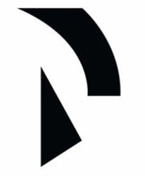 Raiden Network crypto logo