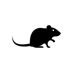 Rat Roulette crypto logo