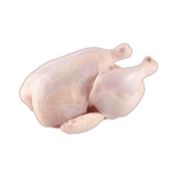 Raw Chicken Experiment logo Raw Chicken Experiment crypto logo
