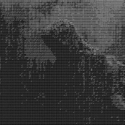 Rex logo Rex crypto logo