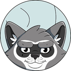 Rocket Raccoon Token logo Rocket Raccoon Token crypto logo