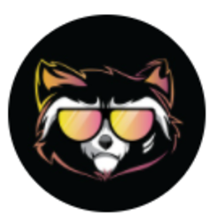 Rocket Raccoon crypto logo