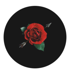 Rose crypto logo