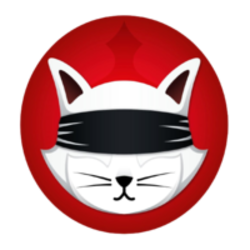 Ryoshis Vision crypto logo