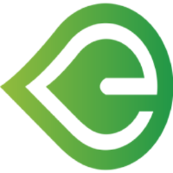 Safe Energy crypto logo