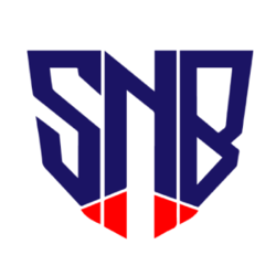 Safe Nebula crypto logo