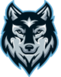 SafeWolf crypto logo