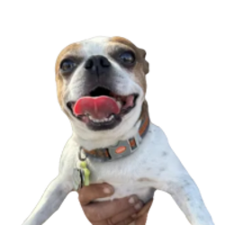 Scooter logo Scooter crypto logo