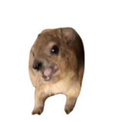 Screaming Hyrax logo Screaming Hyrax crypto logo
