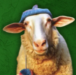 Sheep Wif Hat crypto logo