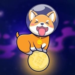 Shiba Moon logo Shiba Moon crypto logo