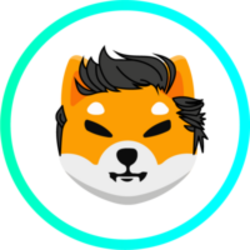 ShibElon crypto logo