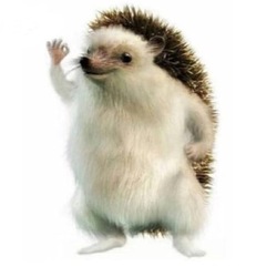 Shrub logo Shrub crypto logo