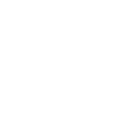 SKAINET logo SKAINET crypto logo