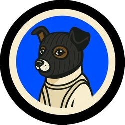 Ski Mask Laika logo Ski Mask Laika crypto logo