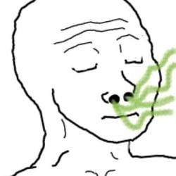 SNIFF logo SNIFF crypto logo