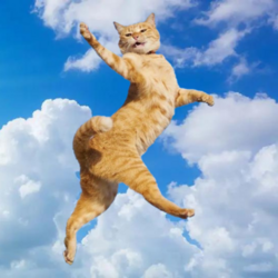 So Much Higher logo So Much Higher crypto logo