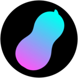 Solana Nut logo Solana Nut crypto logo