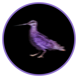 Solit logo Solit crypto logo