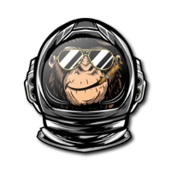 Space Monkey crypto logo
