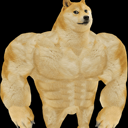 Swole Chad Doge logo Swole Chad Doge crypto logo
