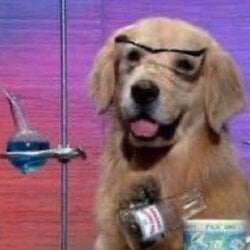 NumberGoUpTech logo NumberGoUpTech crypto logo