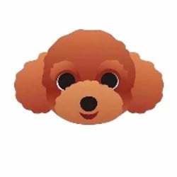 Teddy Dog crypto logo