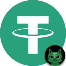 TetheCat Bridged USDT crypto logo