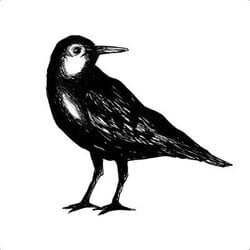 Tidalflats crypto logo