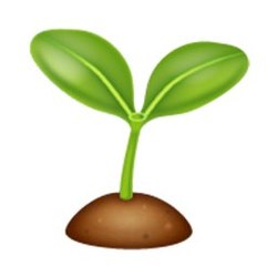 Tulip Seed crypto logo