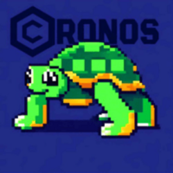 Turtle crypto logo