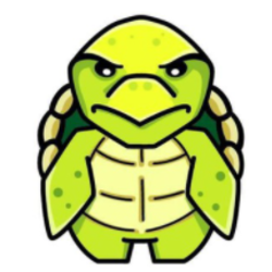 Turtle crypto logo